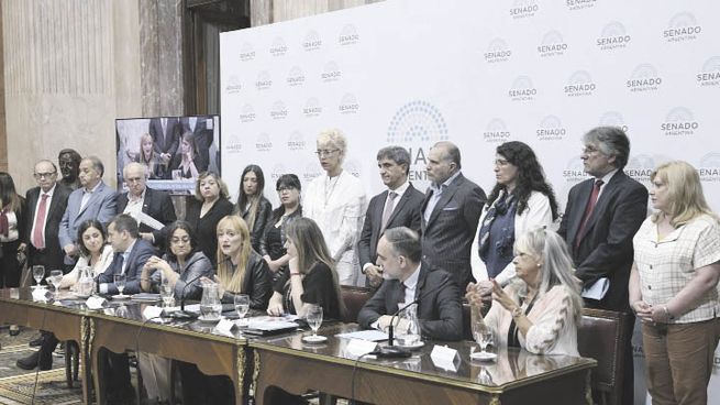 Todos. Miércoles pasado. Conferencia de prensa de senadores de U. Ciudadana y Frente Nacional y Popular.