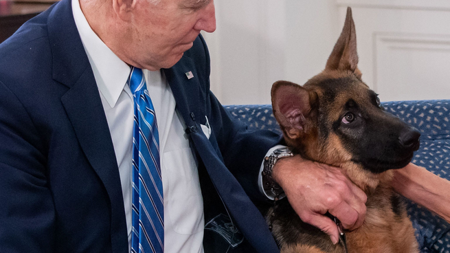 Biden y una drástica decisión con su mascota. 