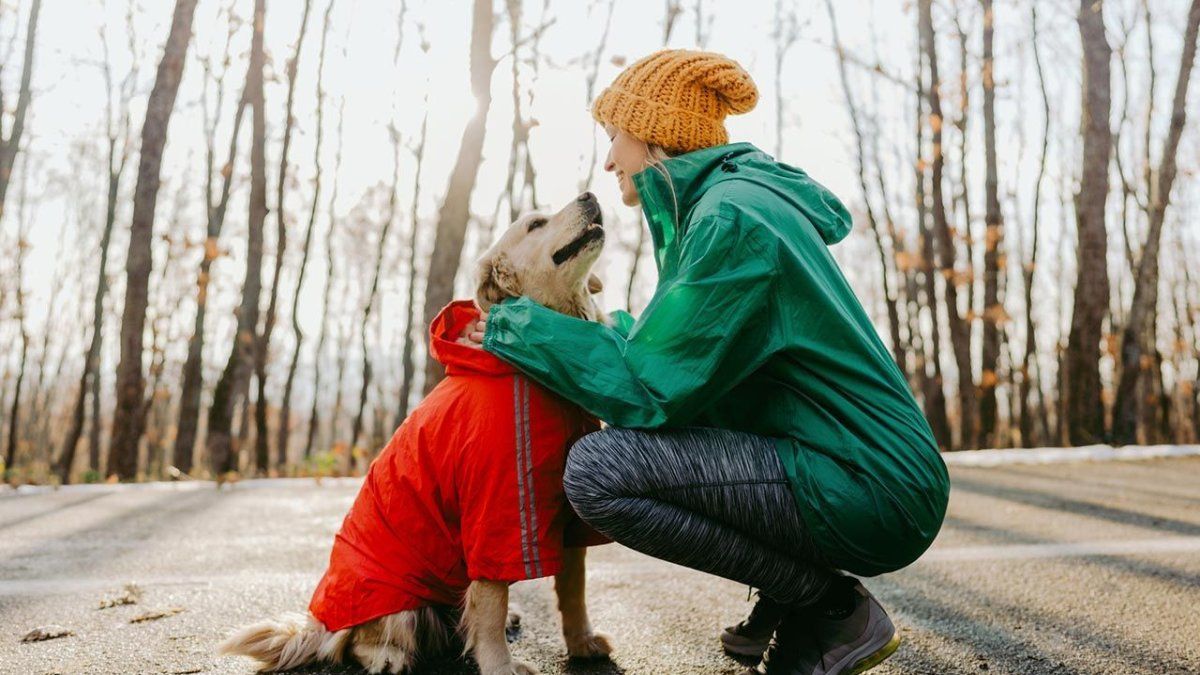 What are the most common mistakes when taking care of our pets? An expert revealed the truth