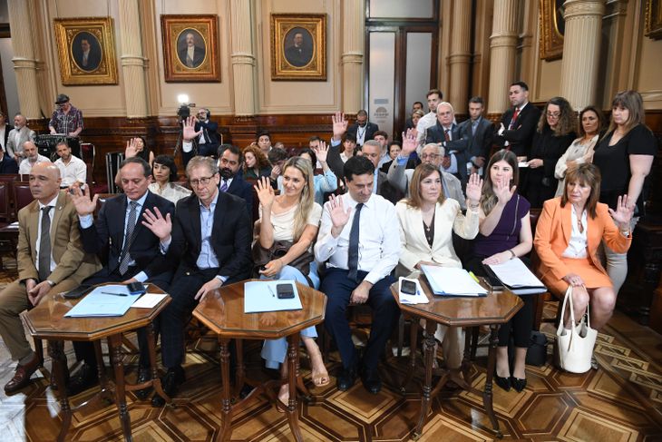 El Gobierno se llevó respaldos en disidencia de sus aliados en el Senado.