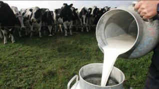 la industria lechera suma otro mes de crecimiento y proyecta un cierre positivo del ano