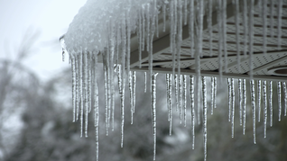 Lluvia engelante cae en México. Lluvia engelante cae en México.