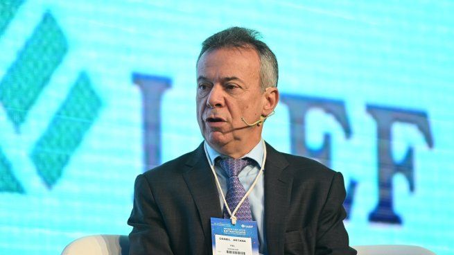 El economista Daniel Artana brindó precisiones dobre la gestión económica del gobierno de Javier Milei. 