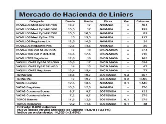 Mercado de Liniers: novillo subió 0,3%