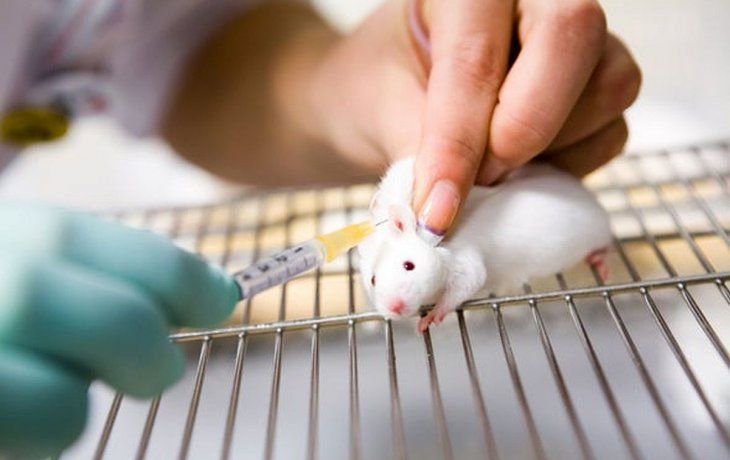 Cuando&nbsp;se probó en ratones,&nbsp;el prototipo de vacuna&nbsp;-que los investigadores han llamado PittCoVacc-&nbsp;generó una oleada de anticuerpos contra el nuevo coronavirus en dos semanas.&nbsp;