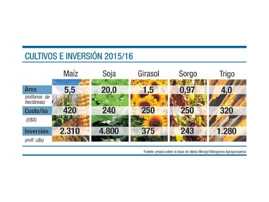 Campaña de riesgo para los granos