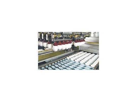 La producciónde huevosviene creciendoa un ritmode 6% anual,llegando hoy aun plantel de30 millones degallinas queproducenanualmenteunos 8.300millones dehuevos al año.