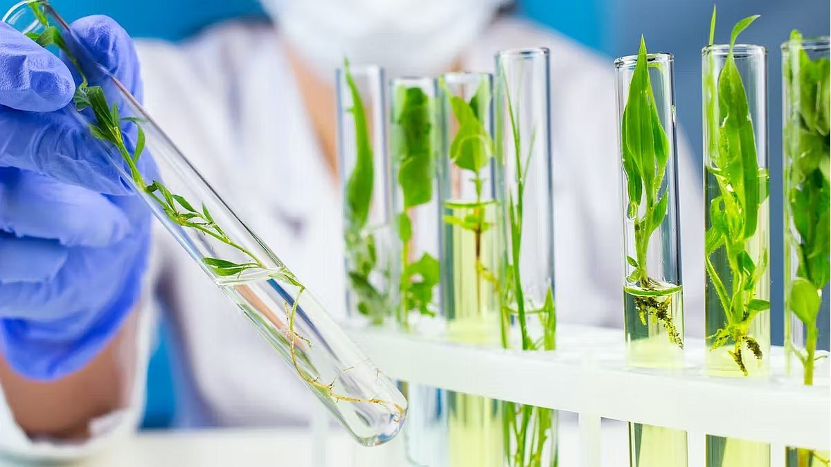 La biotecnología como un puente hacia el futuro
