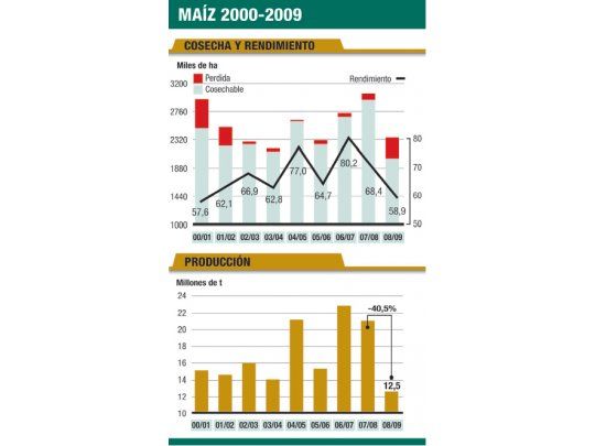 Culminó campaña maicera con pérdida del 40%