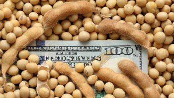 fin del dolar soja: estiman que el poder de compra de la soja caera hasta u$s60 por tonelada