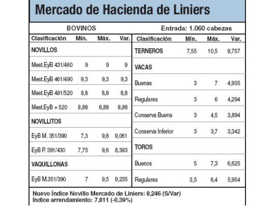 Los novillitos cayeron el 0,5%