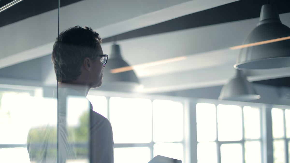 Management: what does the shareholder have in mind when they ask for professionalization?