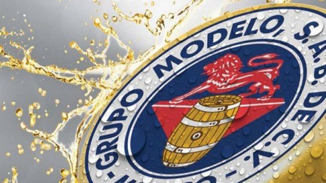 Grupo-modelo