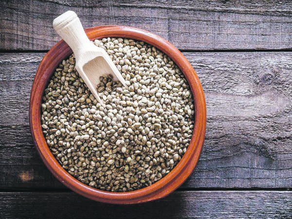 hemp central .SEMILLA5.jpg