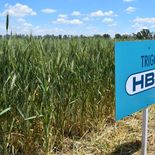 El bloque hoy dominante sostiene que la quiebra fue una consecuencia inevitable del deterioro financiero previo. El bloque hoy dominante sostiene que la quiebra fue una consecuencia inevitable del deterioro financiero previo.