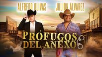 Incertidumbre sobre los conciertos de Prófugos del Anexo en la Plaza de los Toros.