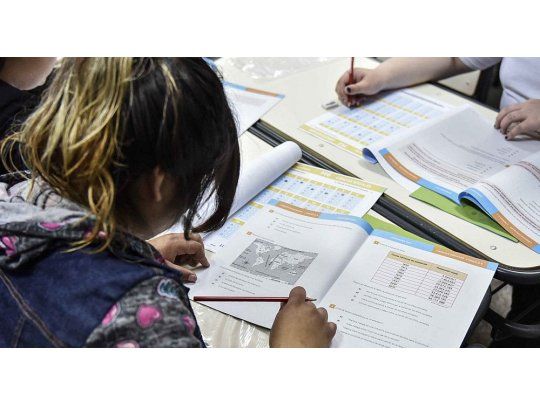 La Coordinadora Nacional de Educación Inclusiva, Cristina Lovari, describió a ámbito.com las cuestiones a mejorar para una mayor integración y aconseja qué hacer ante la negativa de una vacante.