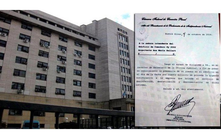 La Cámara Federal de Casación Penal solicitó la urgente desratización de los tribunales.