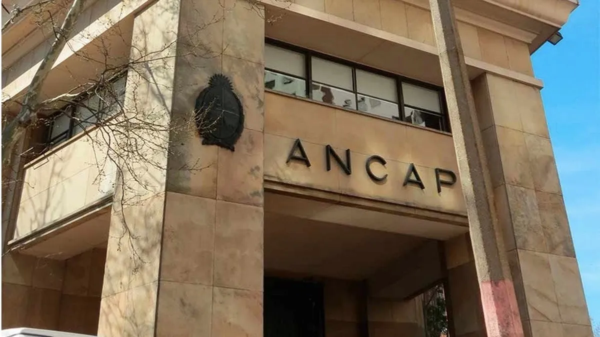 Ancap will reveal the offers for the entry of private companies into the Portland business