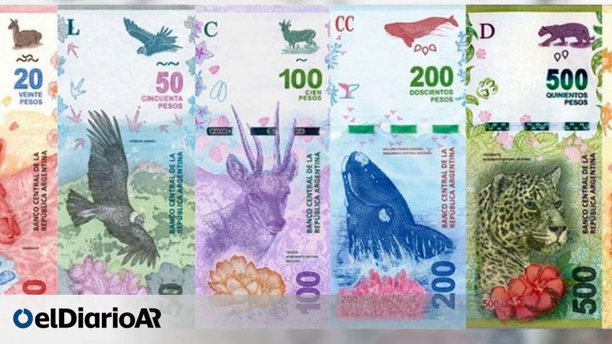 These are all the legal tender bills in Argentina in June 2024 These are all the legal tender bills in Argentina in June 2024