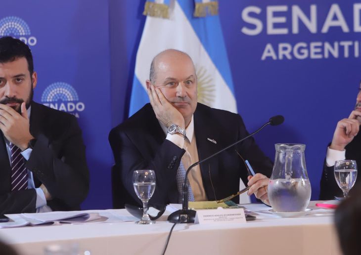 Sturzenegger, ministro de Desregulación nacional. Sturzenegger, ministro de Desregulación nacional.