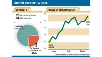 Gobierno prepara embestida contra productores sojeros