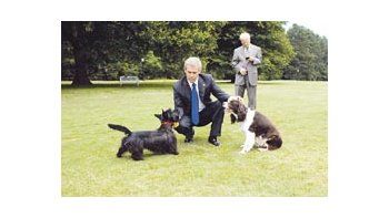ámbito.com | Un momento de relax canino: Josh Brolin, como George W. Bush, en «W.», de Oliver Stone.