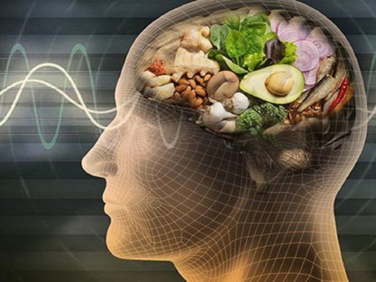 Cerebro y alimentos perjudiciales.&nbsp;