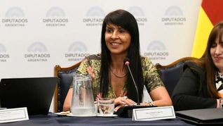 Lorena Villaverde, diputada de La Libertad Avanza. Lorena Villaverde, diputada de La Libertad Avanza.