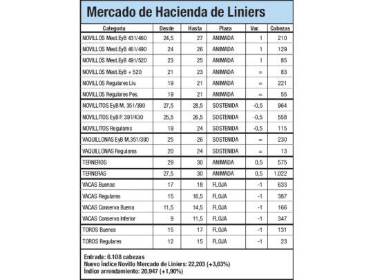 Índice Novillo subió un 3,6% en Liniers