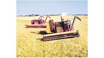En los últimos días se retomó con fuerza la cosecha de trigo, quealcanzó al 32,6% del área sembrada con una producción de 2,1millones de toneladas.