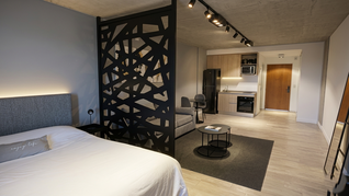 Monoambiente moderno con división funcional, cocina integrada y diseño compacto, una tipología cada vez más demandada en el mercado de alquileres Monoambiente moderno con división funcional, cocina integrada y diseño compacto, una tipología cada vez más demandada en el mercado de alquileres