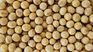 The Inase enabled the commercialization of soybean seeds in 70% of their germination.