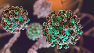 &nbsp;Investigadores de la UNAM encontraron una nueva manera de combatir una infección intestinal