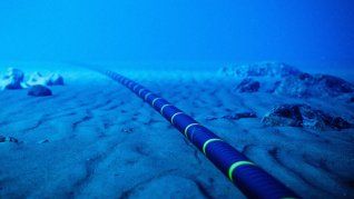 El TAT-8 entró en operación el 14 de diciembre de 1988. El TAT-8 entró en operación el 14 de diciembre de 1988.