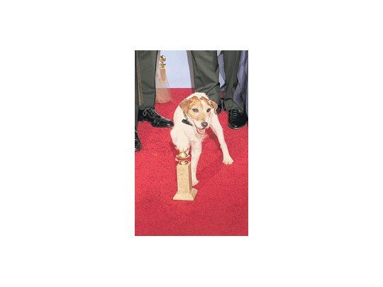 El perro Uggie, de «El artista», anteanoche en la ceremonia. Aunque parezca mentira, hay muchos (incluyendo a Spielberg) que pretenden crear la categoría de Oscar para los animales.