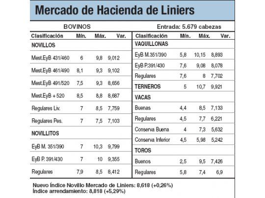 Novillitos subieron el 2,1% en Liniers