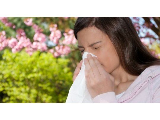 ¿Bienvenida primavera? Cómo prevenir y tratar las alergias
