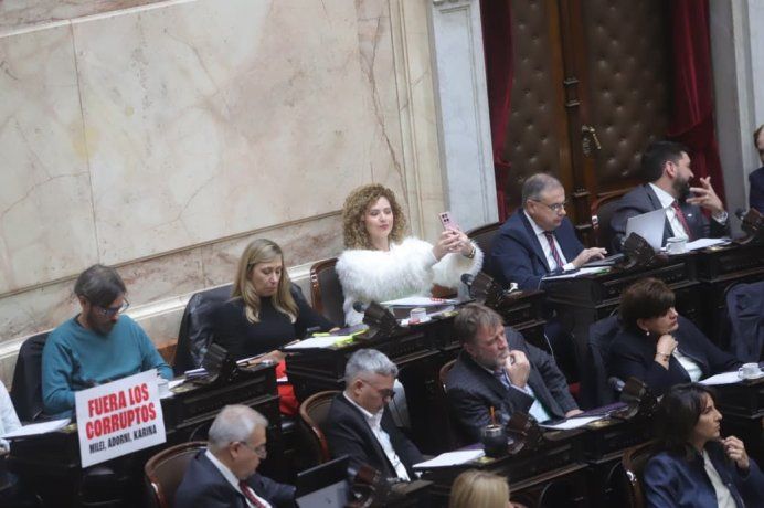 La diputada Lourdes Arrieta. La diputada Lourdes Arrieta.