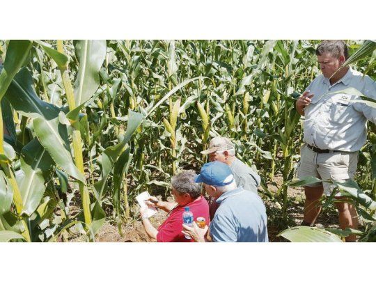 El know how del campo argentino también se exporta al mundo