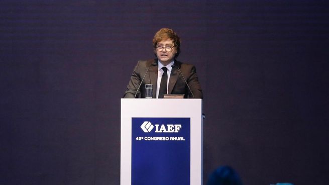 Javier Milei, durante la exposición en el IAEF.