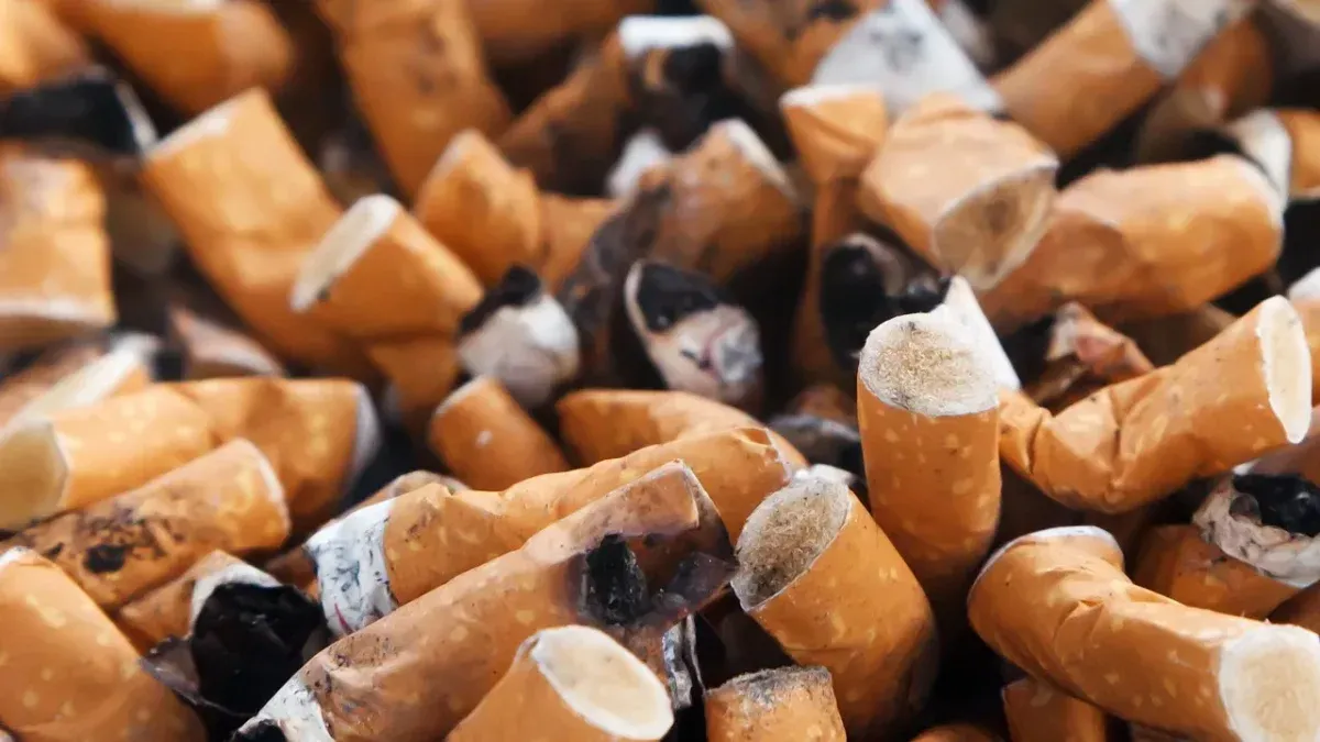France will prohibit smoking on beaches, public spaces, squares and near schools