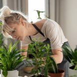 Este nuevo invento le dice chau a los jardineros. Este nuevo invento le dice chau a los jardineros.