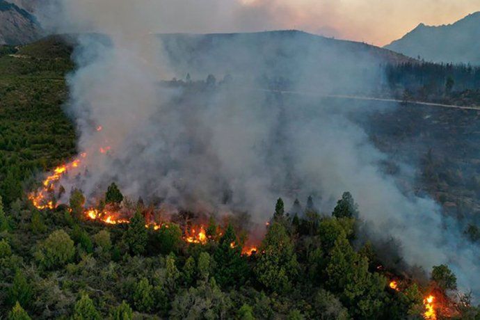 Los focos más activos persisten en la parte alta de la montaña dentro del Área Natural Protegida.