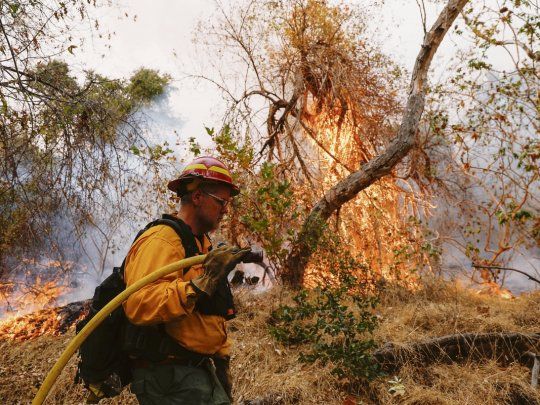 devastación. California ya perdió 1 millón de hectáreas. Fueron arrasadas miles de viviendas.&nbsp;