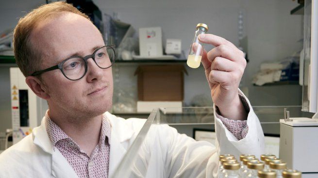 Una bacteria modificada genéticamente logró transformar residuos plásticos en paracetamol.
