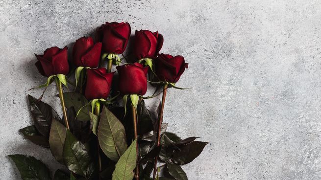 Las rosas rojas, el símbolo eterno del amor y la pasión.