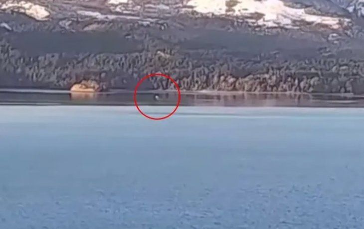 Terror en Bariloche: volvió a aparecer Nahuelito