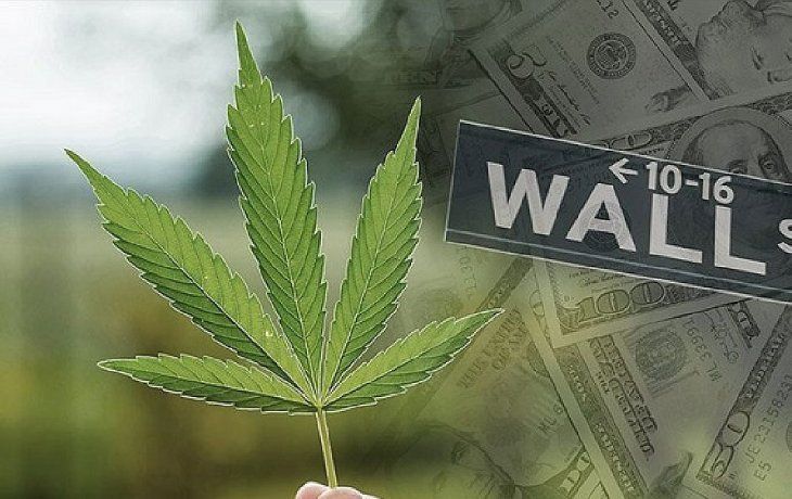 El gran fracaso de las empresas de Cannabis