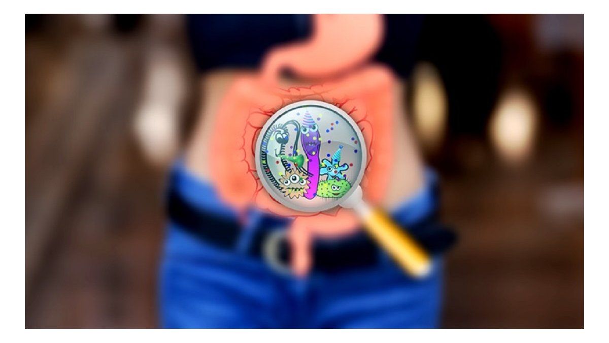 Gut microbiota to the rescue